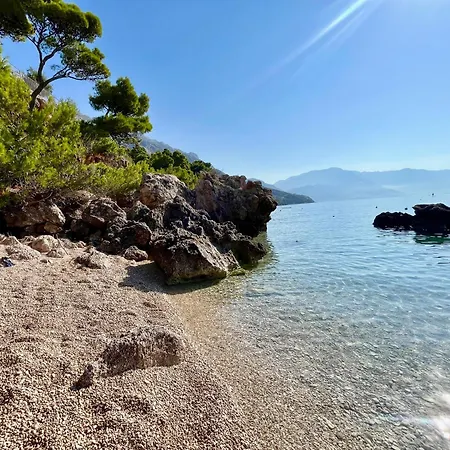 Sunny Place In *